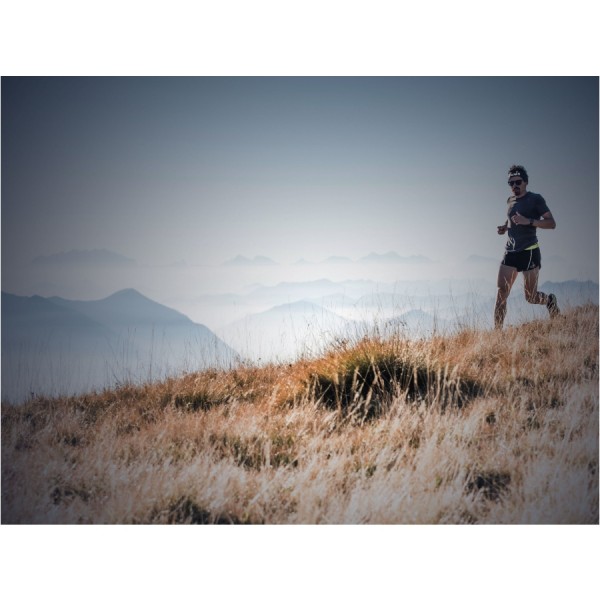 Opaska na głowę Fenix AFH-10 Szara