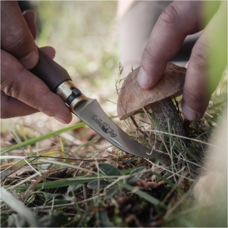 Antonini Old Bear Mushroom Nóż do grzybów AISI 420