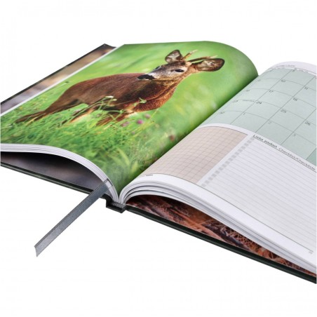 Terminarz łowiecki myśliwski Tebra 2026