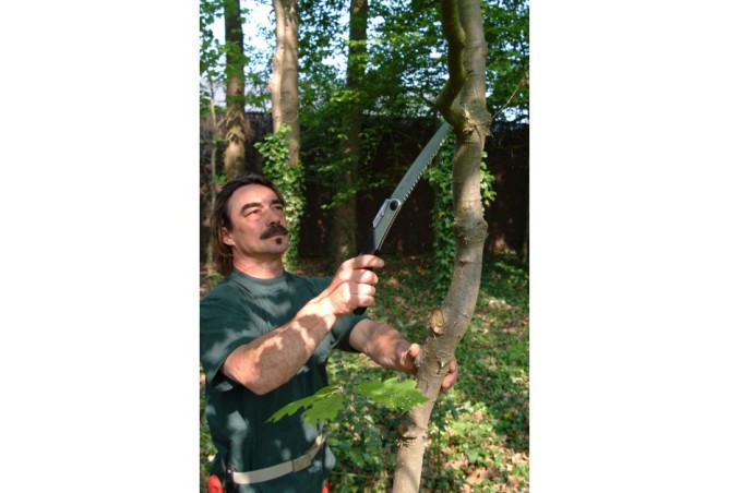 Piła ręczna składana SILKY SUPER ACCEL 210-7.5