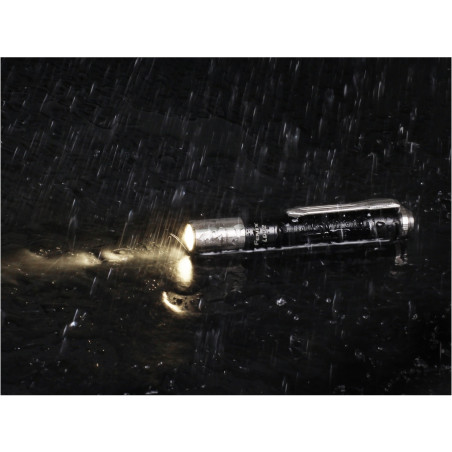 Fenix LD02 V2.0 latarka srebrna 120 lm