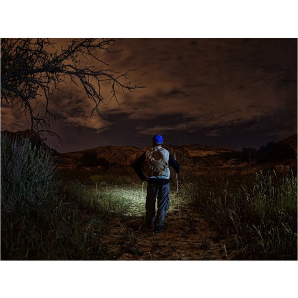 Latarka czołowa Fenix HM23 240 lm