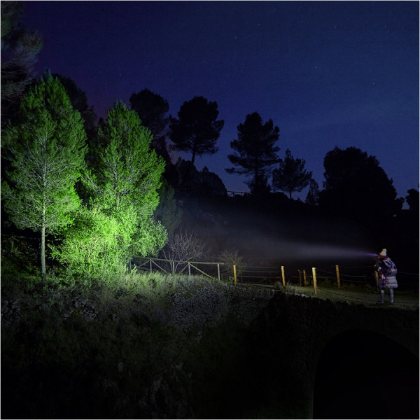 Fenix HM23 V2.0 czołówka 300 lm IP68