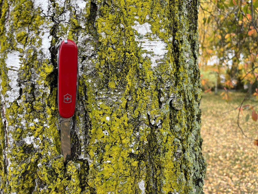 Scyzoryk Victorinox Huntsman – na mroźny biegun i gorącą randkę!